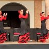 Flamenco » Altstadtfest